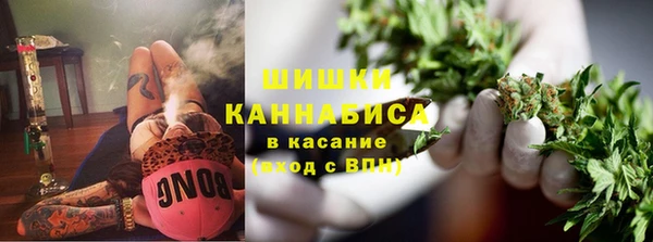 ECSTASY Богородицк