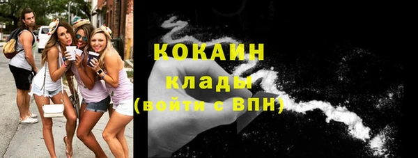 ECSTASY Богородицк