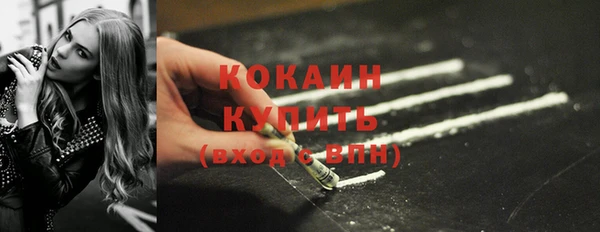 ECSTASY Богородицк