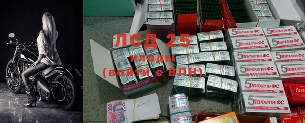 ECSTASY Богородицк