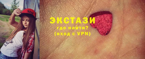 ECSTASY Богородицк
