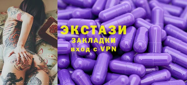 ECSTASY Богородицк